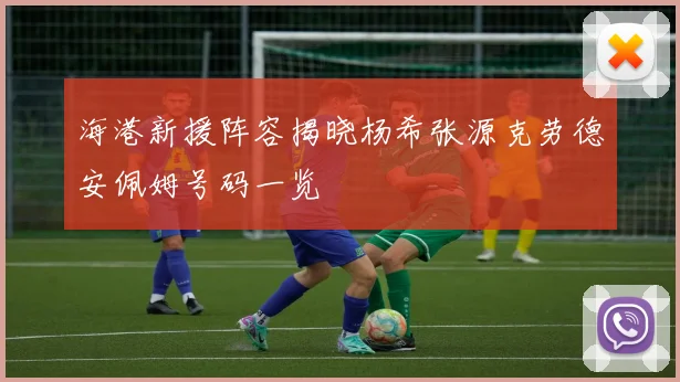 海港新援阵容揭晓杨希张源克劳德安佩姆号码一览