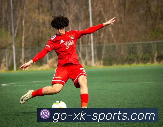 星空体育APP 封面图